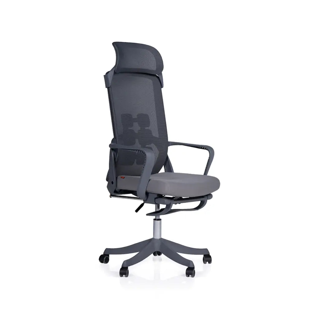 ErgoFlex FY-15-V2 — view 1