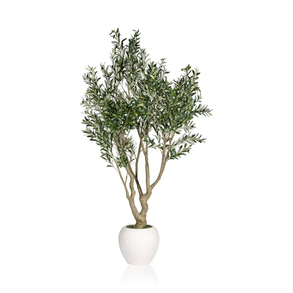 Olive Tree 220cm — view 1