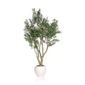 Olive Tree 220cm — view 1
