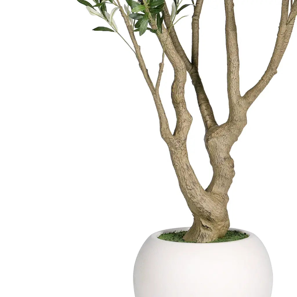 Olive Tree 220cm — view 3
